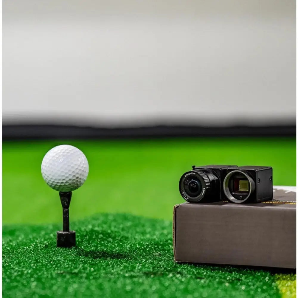 swing motion cameras
